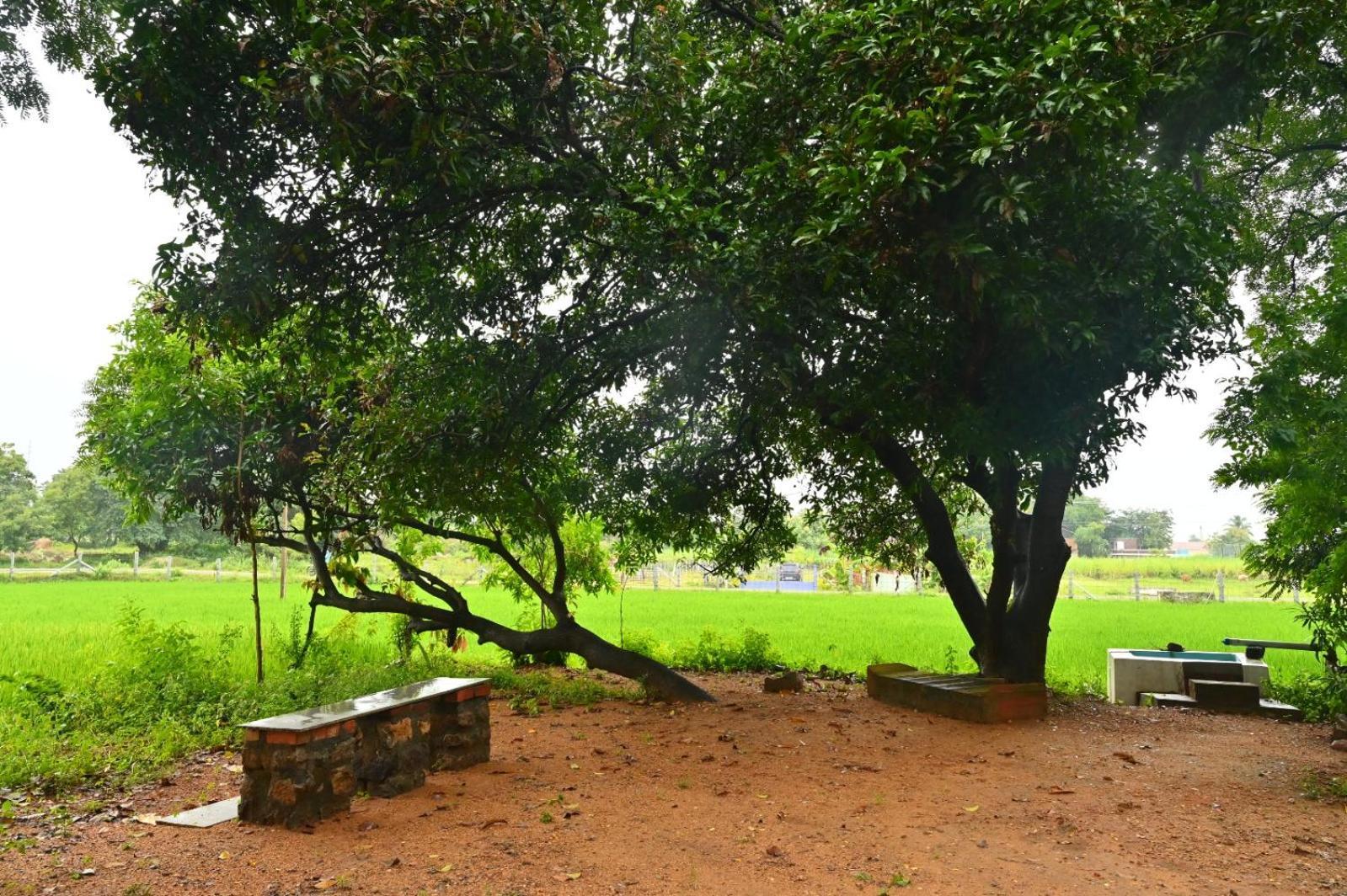 Pathayam Inn Tiruvannāmalai Dış mekan fotoğraf