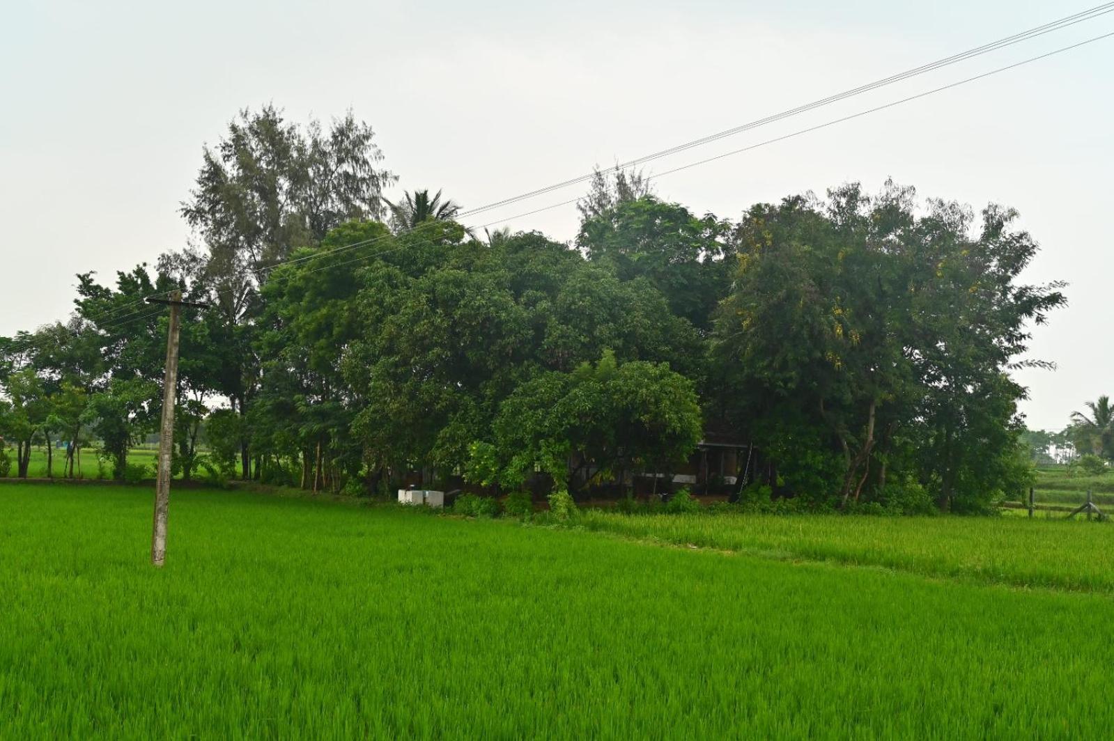 Pathayam Inn Tiruvannāmalai Dış mekan fotoğraf